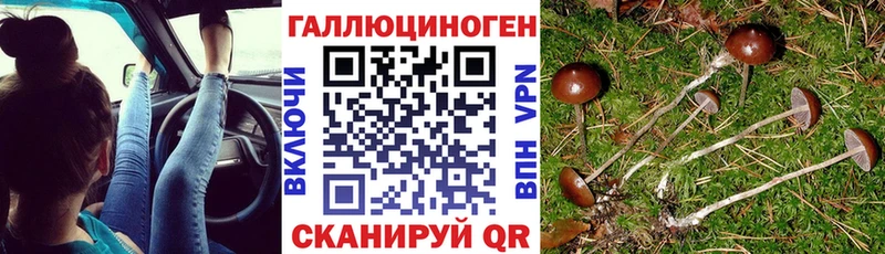 Купить  Кологрив  Галлюциногенные грибы Magic Shrooms 